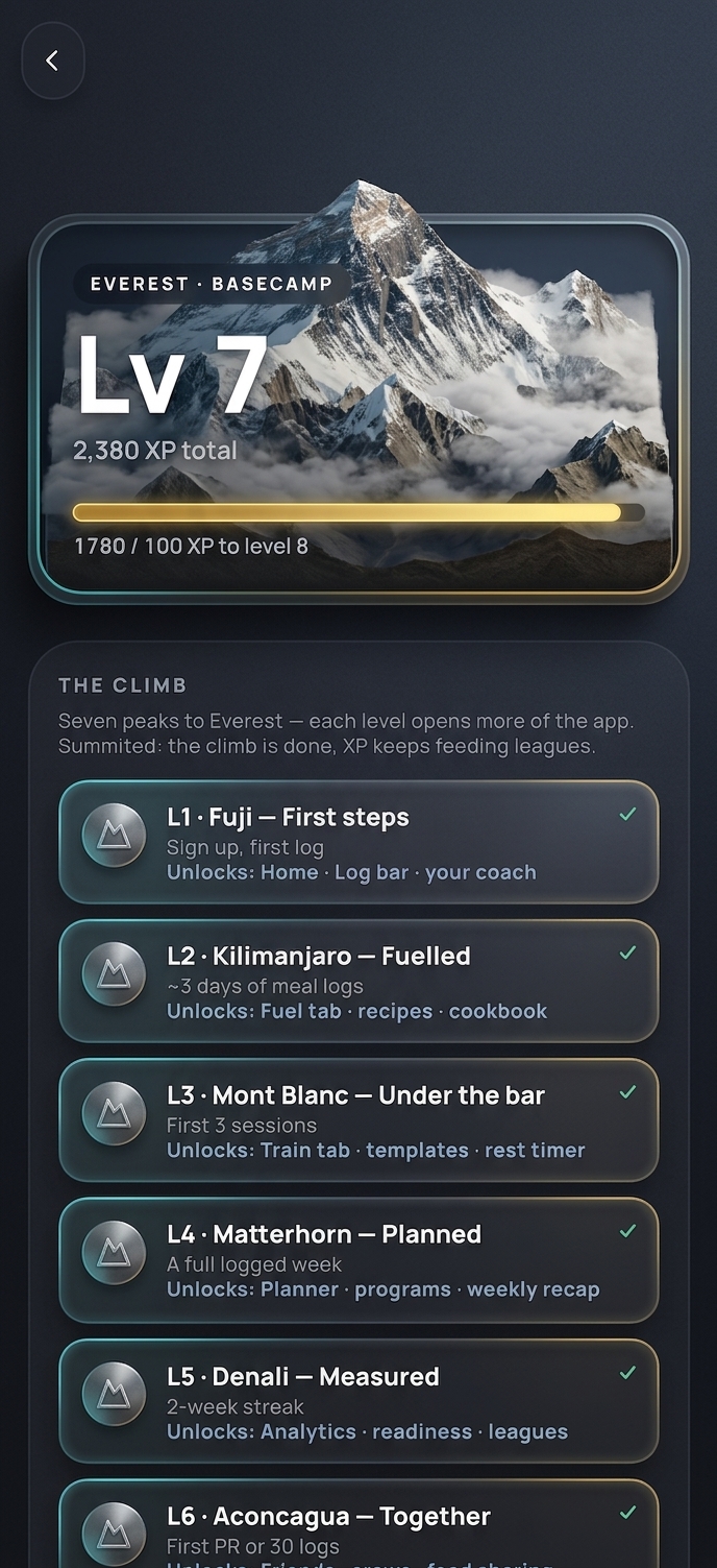 A full year of training, in one glance., Ascend app screen